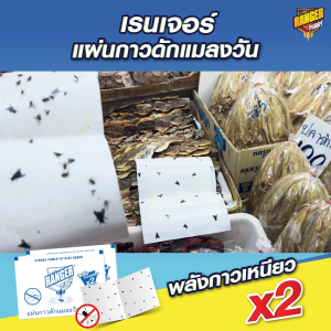 เรนเจอร์ กาวดักแมลงวัน กลิ่นปลาทู (แพ็ค x 30 แผ่น) Ranger Fly Glue (30 pcs.)