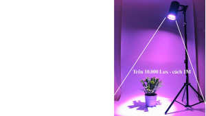 Đèn Trồng Kiểng Lá Trong Nhà Led Grow 18w (Bóng tròn thấu kính Lens) thây thế mặt trời giúp kích thích cây lá trưởng nhanh quang hợp tốt (8.000 Lux)