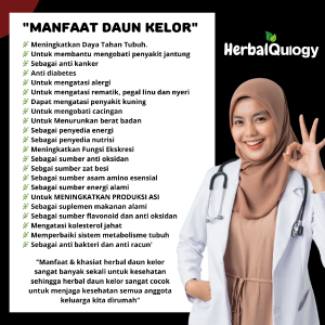 HerbalQulogy - DAUN KELOR Isi 60 & 100 Kapsul Murni alami 100% Original 30 kapsul daun kelor