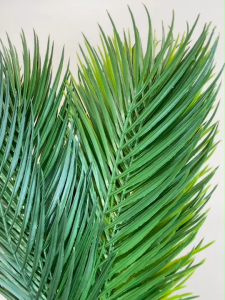 ต้นปาล์ม PF-1598 (PF-F2007) ต้นปาล์มปลอม ต้นไม้ปลอม ดอกไม้ปลอม ช่อดอกไม้ตกแต่ง ดอกไม้ตกแต่งบ้าน ตกแต่งบ้าน พร็อพถ่ายรูป DIY