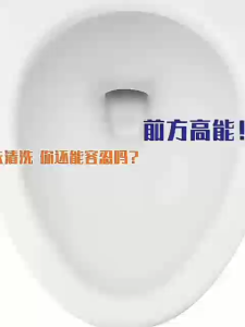 250g Toilet Flush Remover Toilet Bowl Cleaner Deodorant Sterilization and Deodorization