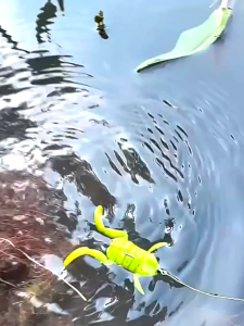 Fujikawa กบยางขาพลิ้ว ยกซอง 3.2cm / 4.0cm ตกปลาช่อน ชะโด