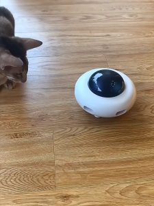 ของเล่นแมว หุ่นยนต์อัจฉริยะ ของเล่นแมวอัตโนมัติ ของเล่นสัตว์เลี้ยง ของเล่นแมวไฟฟ้า