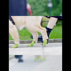 Vỏ bọc bảo vệ chân cho Chó Mèo co giãn tự dính (Combo: 3 Cuộn) - Love Pets Shop