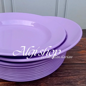 10Pcs piring makan melamin besar 23cm Gratis sendok