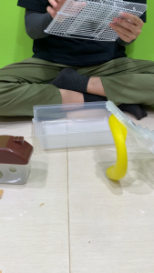 กรงหนู 2 ชั้น (L) กรงเม่น กรงกระรอก กรงแฮมเตอร์ กรงเต่า เคลือบกันสนิม ขนาด 27x20.5x28 cm