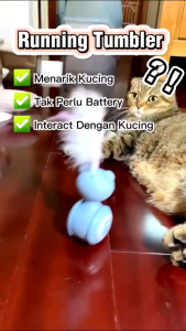 Pet Cat Stick Interactive Toy Kitten Fun Tumbler Ball Toy  Feather Funny Cat Catch Ball Cat Self Healing Playable Toy Kucing