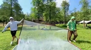 【COD】Trapal Transparent PVC Plastic Tarpaulin with Eyelet transparent tarpaulin clear tarpaulin trapal makapal clear trapal Trapal Waterproof Makapal Thick Anti-Tear Rainproof With Grommets Transparent Trapal Waterproof Makapal Thick Anti-Tear Rainproof