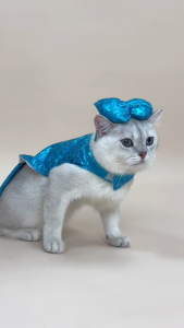 [สินค้าราคาพิเศษ] พร้อมส่ง ชุดนางเงือก ชุดหมาแมวแฟนซี ชุดปลา สีฟ้า | CLAWSET.BKK