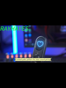 RAYHAYES มาร์คองส์ตั้งโต๊ะ USB Microphone ไมค์มีสาย ไมโครโฟนมีสาย ไมค์สตรีมมิ่ง ไมค์เกมมิ่ง ไมค์พอดแคสต