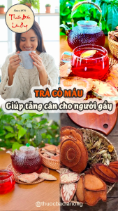 Trà cỏ máu tăng cân mix vị trà bổ huyết ngủ ngon ăn ngon - Lãn Ông