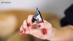 【Trusted】 Pet Pantry Benepaw Professional Dog Nail Clippers Stainless Steel Pet Nail Trimmer Claw Cutter Grooming Tool For Small Medium Dogs Cats