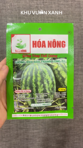 Hạt giống Dưa hấu Thành Long F1 - Gói 0.5gr - Tỉ lệ nảy mầm >90% - Trồng quanh năm
