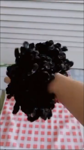 Klik-Beli 2 PCS Aksesoris Hijab Wanita: Ikat Rambut Ubur-Ubur & Kunciran