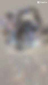 DERAEY แป้งเดอเอ้ไดมอนด์ เนเชอรัล พาวเดอร์ SPF30PA+++ 2 ตลับ - ราคาที่สะดวกสบาย