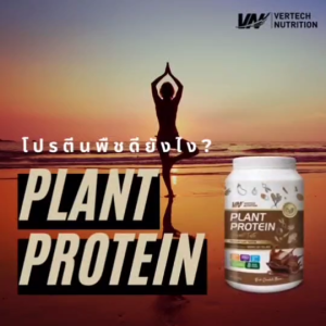 (3 กระปุก) VERTECH NUTRITION Plant Based Protein โปรตีนพืช Superfoods & Greens วีแกน ผักผลไม้ ไฟเบอร์ ลดน้ำหนัก รสช็อกโกแลต