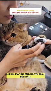 Bọt tắm khô dưỡng lông cho thú cưng Waterless Bubble Shampoo 130ml - Hana Pet Việt Nam