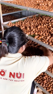 Hạt Macca Nứt Vỏ - Tiệm Phố Núi [Siêu Sale Tết]