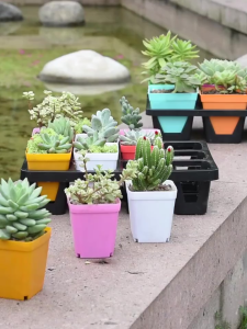 25 PCS 3" Colorful Plastic Plant PotsPlastic Square Nursery PotSeedling Nursery Pots with Saucers