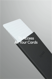 hyodo Cardlet Pro Brown (Magnetic compatible Smart Card Wallet Holder RFID/NFC Shielding For Man & Women)