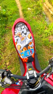 Sarung Cover Jok Motor Motif One Piece Luffy Gear 5 Full Printing Vario Scoopy Beat Mio Xeon JP-19