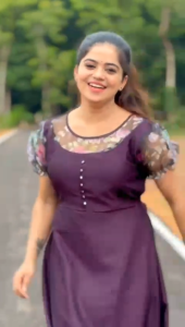 (Stok sedia) Fox Georgette dengan gaun cetak Organza untuk wanita (penghantaran dalam masa 3-5 hari)