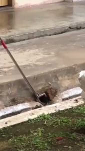 Alat Penjepit Ular Berdamping 150 cm Tongkat Penangkap Ular Stainless Alat Penjepit Sampah Foldable