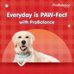 [Free 100g Wet Food] ProBalance Puppy Dry Dog Food - Chicken/Egg/Milk (1.5kg x 7 Packs)