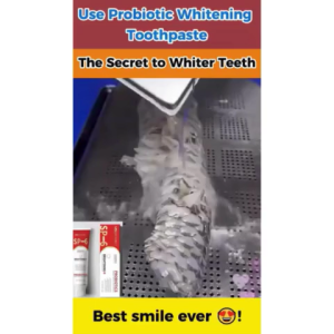 SP6 TOOTHPASTE Super Probiotic-6 Toothpaste with 6 Probiotics oalance Oral microbiota strength