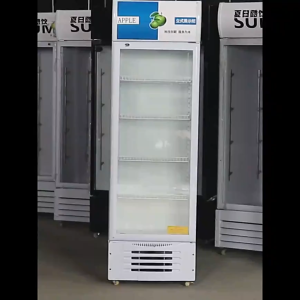 🔥จัดส่งฟรี🔥Scott ตู้เย็น ตู้แช่เย็น 1ประตู 2ประตู ตู้แช่เครื่องดื่ม ตู้เก็บความเย็น ตู้เย็นเชิงพาณิชย์ ตู้เย็นขนาดใหญ่ Refrigerator 1200L