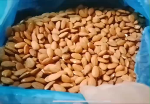 [COMBO 2] HẠNH NHÂN SẤY NGUYÊN VỊ HÀNG CHUẨN NHẬP KHẨU