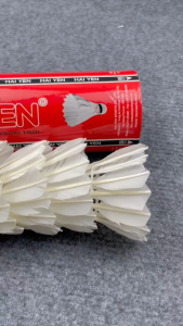 Hộp Cầu Lông Đế Gỗ Hải Yến Đỏ - Ống Cầu Lông Vịt - Quả Cầu Lông Vũ Trắng - Trái Cầu Lông Vịt Luyện Tập