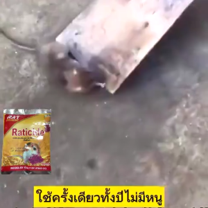 🐭หนูไม่มีแล้ว🐭 เหยื่อกำจัดหนู ยาฆ่าหนู ยาเบื่อหนู 50กรัม/ถุง สูตรเยอรมัน สารดึงดูดสุด ๆ หนูตายนอกบ้านและไม่เหม็น ปลอดภัยสำหรับคนและสัตว์เลี้ยง ยากำจัดหนู กำจัดหนูยกรัง เหยื่อกำจัดหนุ เหยื่อหนู ยากำจัดหนูถาวร สารกำจัดหนู