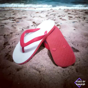 Honcer Footwear NanYang Thailand Two Dove Summer Beach Walker Flip Flops Slipper For Adult (9-11)