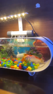 [PROMO] Aquarium full set / aquarium mini akrilik lengkap dengan pompa dan Mesin filter dan aksesoris lampu LED (AB1)