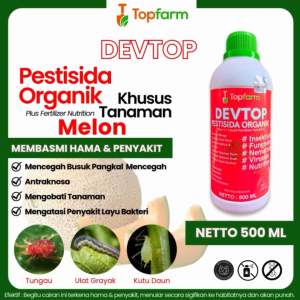Obat Semprot Hama Tanaman Melon: Solusi untuk Melindungi Panen Anda