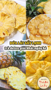 Dứa thái lát sấy lạnh 100g khóm thơm dứa sấy nguyên miếng detox - Lãn Ông