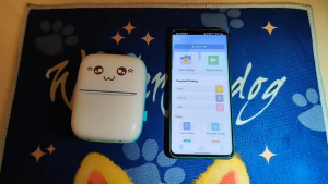 Mini Pocket Printer: A Portable Thermal Sticker Printer Bluetooth Inkless Pocket Printer