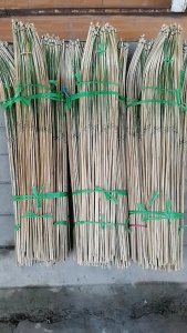 Combo 200 Cây 100 Cây 50 Cây Cần Câu Tre Già Tóm Sẵn Dài 1m10