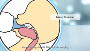 HUKI BOTOL SUSU Bayi dengan Dot GEPENG Orthodontic 240ml