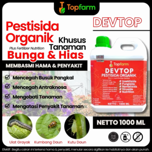 Obat Hama Tanaman Hias: Solusi Tepat untuk Melindungi Tanaman Anda