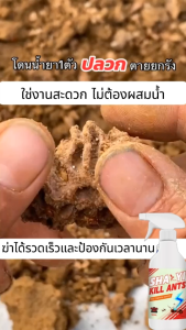 🐜ฆ่าปลวกทั้งรัง 100 ปีไม่มีปลวก🐜ยากำจัดปลวก 500ml 1ขวดใช้ได้นาน3ปี ป้องกันฆ่าตาย2in1 ได้ผลนาน 180 วัน กำจัดปลวก ยกรัง ได้ผล100% ยาฉีดปลวกบ้าน น้ำยากำจัดปลวก เหมาะสำหรับมดทุกชนิด ยากำจัดมด ยาฆ่าปลวก ยาฆ่ามด ฆ่าปลวกตามไม้และดิน