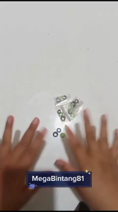 Pemahaman dan Penggunaan Paking Seal Sil Pompa Sprayer Kocok Seal