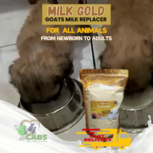 Mielk Gold(milk replacer for orphaned animals)1kg 500G 250g milk onepuppy labpuppycatfor pets goats milk