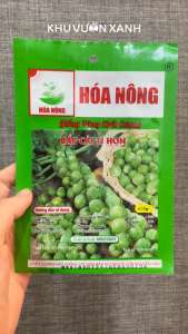 Hạt giống Bắp cải tí hon (Bắp cải Mini Brussels) - Gói 1gr trồng quanh năm