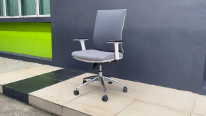 Ergonomic Swivel Desk Chair / Executive Office Chair - FRM9533