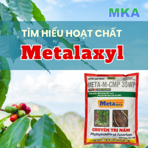 Metalaxyl MKA 35WP quản lý phytophthora vàng lá thối rễ gói lớn 500g