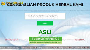 Propolis SM Brazilian Asli 100% Original (Produk Bergaransi) Obat Tetes Herbal Multikhasiat Terlaris di Kota Depok