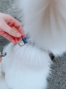 Dây dắt Chó Mèo tự động thu vào loại cao cấp hộp giấy màu cam và trắng (mẫu mới) - Love Pets Shop