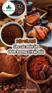Bột cà phê nguyên chất 100g ( Bột làm đẹp dưỡng trắng sáng ) Chợ Thảo Dược Việt